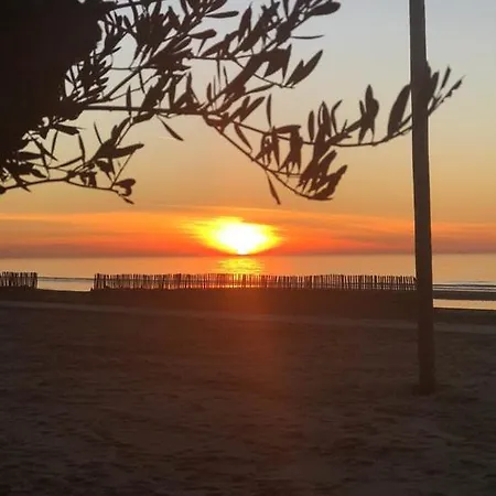 Piet's Beachhouse Hébergement de vacances